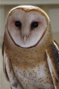 Cool British Barn Owl Bird Journal