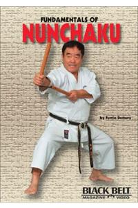 Fundamentals of Nunchaku