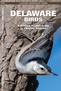 Delaware Birds