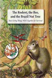 Rodent, the Bee, and the Brazil Nut Tree