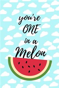 The Cloud blue sky you're one in a melon
