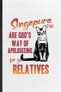 Singapura Cats Are God's Way of Apologizing for Your Relatives