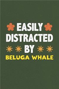 Easily Distracted By Beluga Whale