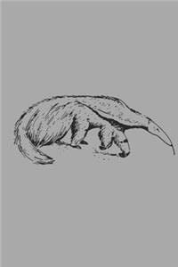 Anteater Journal