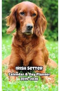Irish Setter Calendar & Day Planner 2019-2020