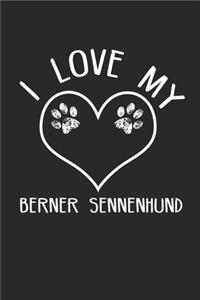 I love my Sennenhund