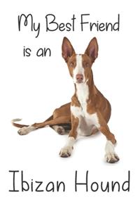 My best Friend is an Ibizan Hound