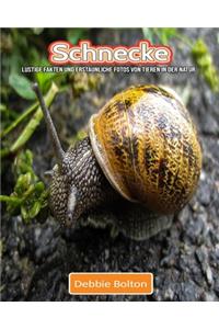 Schnecke