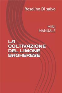 La Coltivazione del Limone Bagherese