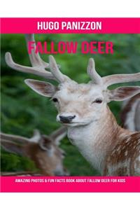 Fallow Deer