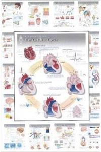 Physiology Wall Charts Set of 20