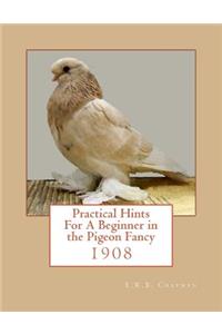 Practical Hints For A Beginner in the Pigeon Fancy