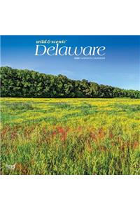 Delaware Wild & Scenic 2020 Square