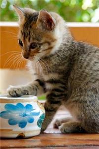 Cute Little Kitty Getting on her Bowl Journal