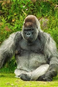 A Silverback Gorilla Relaxing Journal