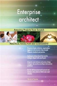 Enterprise architect