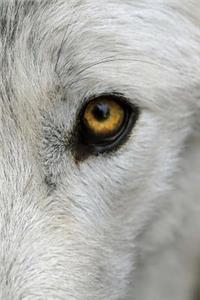 Wolf Eyes Notebook