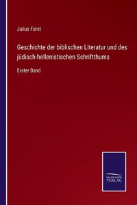 Geschichte der biblischen Literatur und des jüdisch-hellenistischen Schriftthums