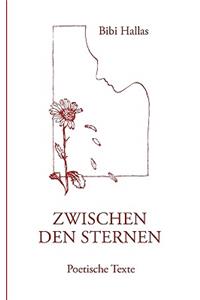 Zwischen den Sternen