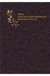 Обзор социально-революционного движения