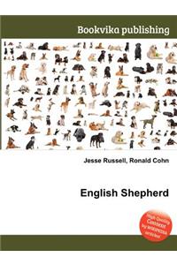 English Shepherd