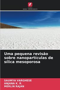 Uma pequena revisão sobre nanopartículas de sílica mesoporosa