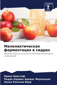 Малолактическая ферментация в сидрах