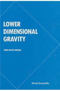 Lower Dimensional Gravity