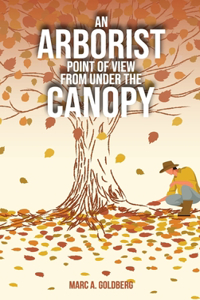 Arborist Point Of View From Under The Canopy
