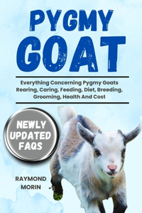 Pygmy Goat
