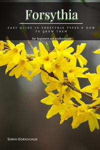 Forsythia