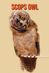 Scops Owl