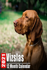 Calendar 2021 Vizslas: Cute Vizslas Photos Monthly Mini Calendar With Inspirational Quotes each Month