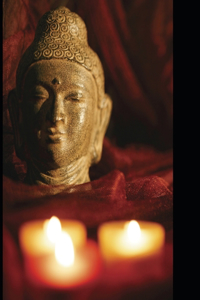 Jasmin und Tropenkoller