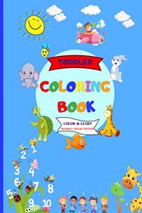 Toddler Coloring Book