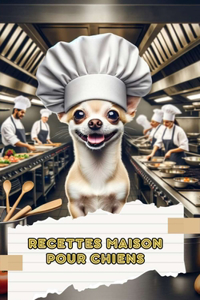 Recettes Maison Pour Chiens