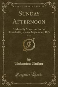Sunday Afternoon, Vol. 3: A Monthly Magazine for the Household; January-September, 1879 (Classic Reprint)