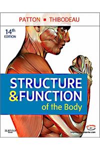 Structure & Function of the Body