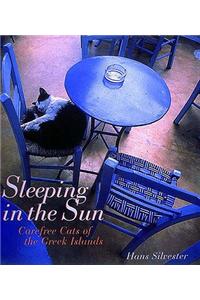Sleeping in the Sun