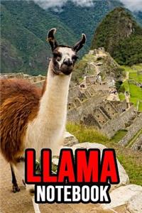 Llama Notebook