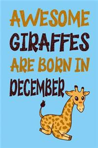 Awesome Giraffes Are Born in December