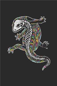 Gecko Skeleton