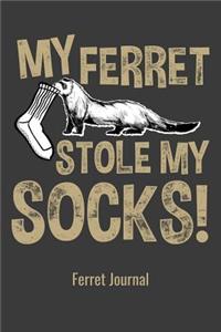 My Ferret Stole My Socks!