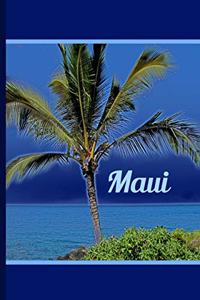 Maui Hawaii Beach Journal