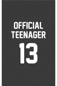 Official Teenager 13