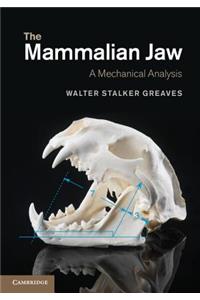 The Mammalian Jaw: A Mechanical Analysis