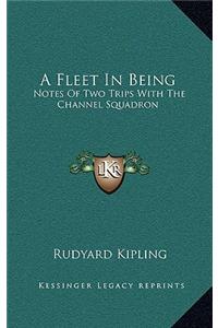A Fleet in Being