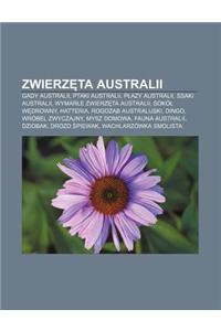 Zwierz Ta Australii: Gady Australii, Ptaki Australii, P Azy Australii, Ssaki Australii, Wymar E Zwierz Ta Australii, Soko W Drowny, Hatteri
