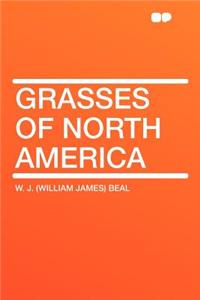 Grasses of North America