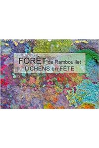 Foret De Rambouillet - Lichens En Fete 2018